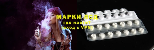 прущие грибы Михайловск