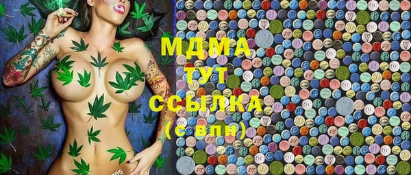 прущие грибы Михайловск