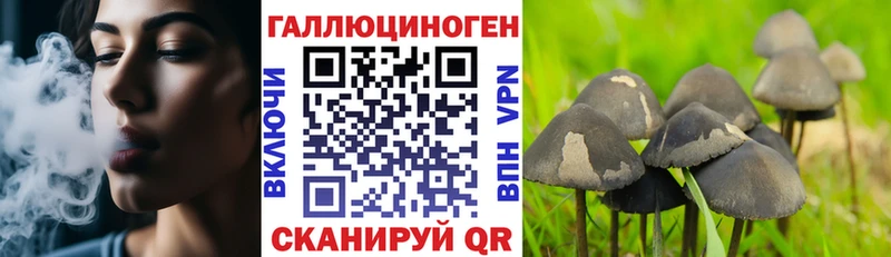 Псилоцибиновые грибы мицелий  Павловский Посад 